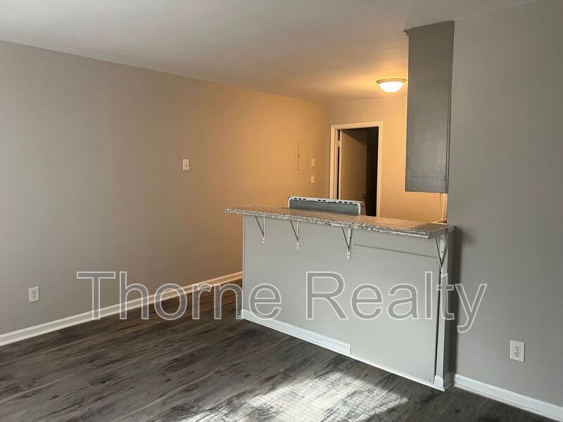 1 Bedroom Duplex - November Rent Special $99 property image
