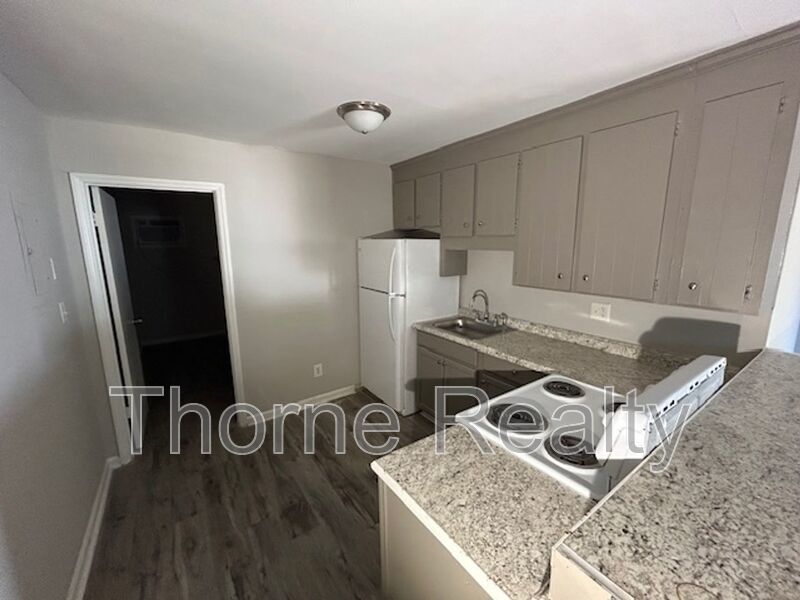 1 Bedroom Duplex - November Rent Special $99 property image