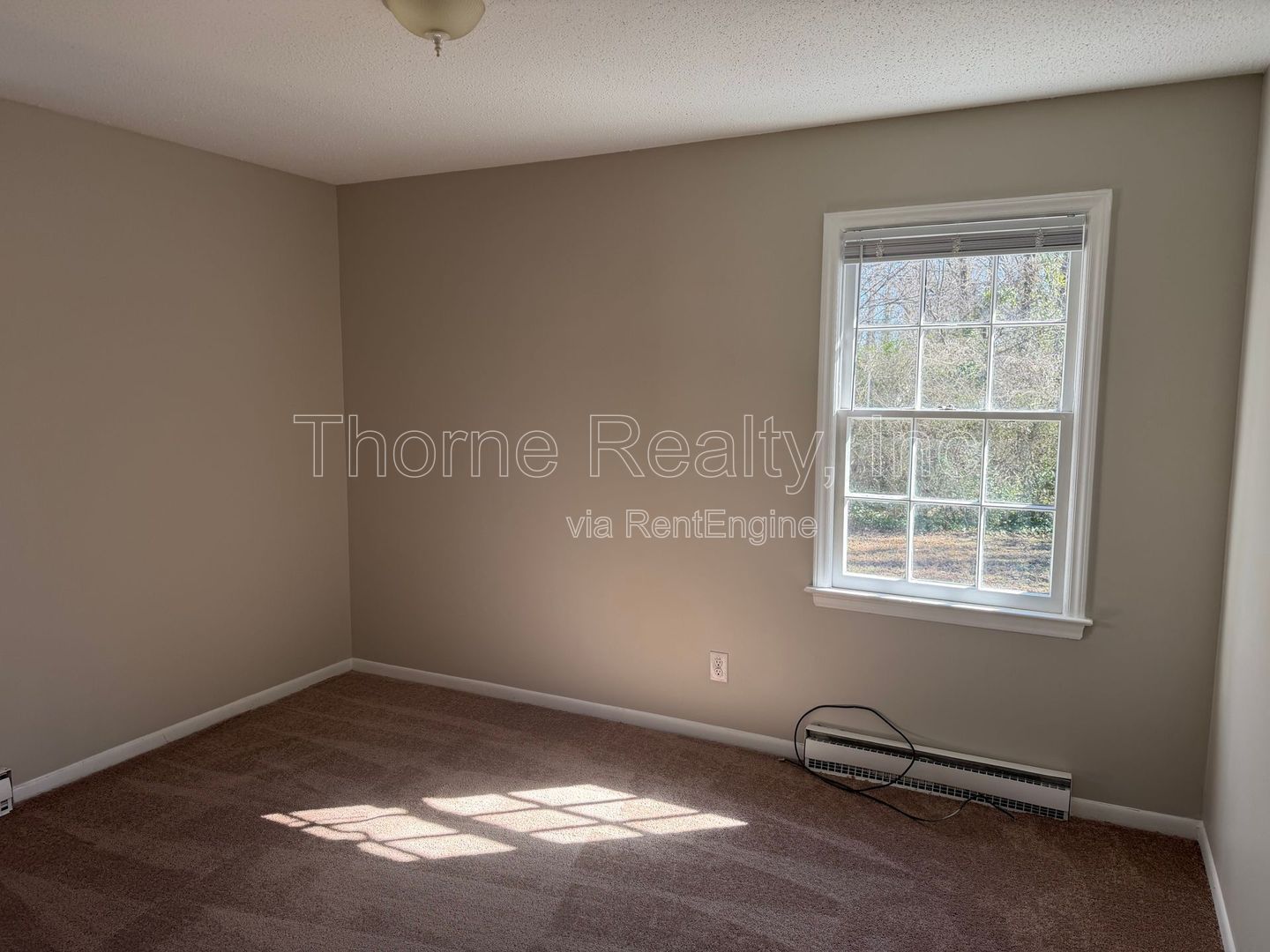 Updated Large 2 Bedroom with Large Yard property image