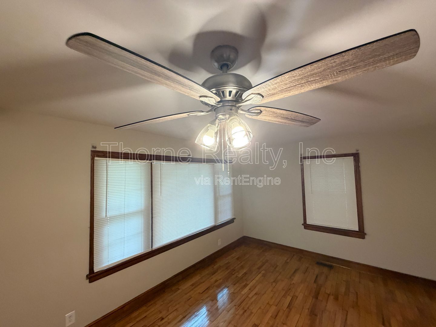 3 Bedroom House in Meadowbrook - AVAILABLE NOW property image