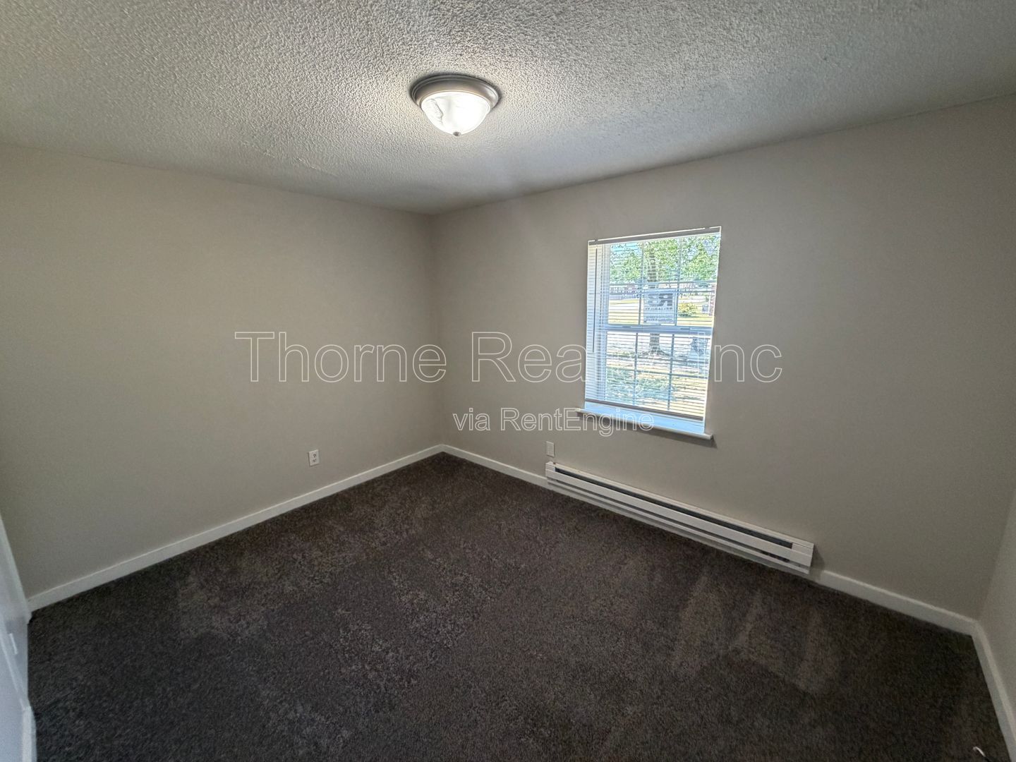 2 Bedroom House in East Tarboro - Renovation Complete! property image