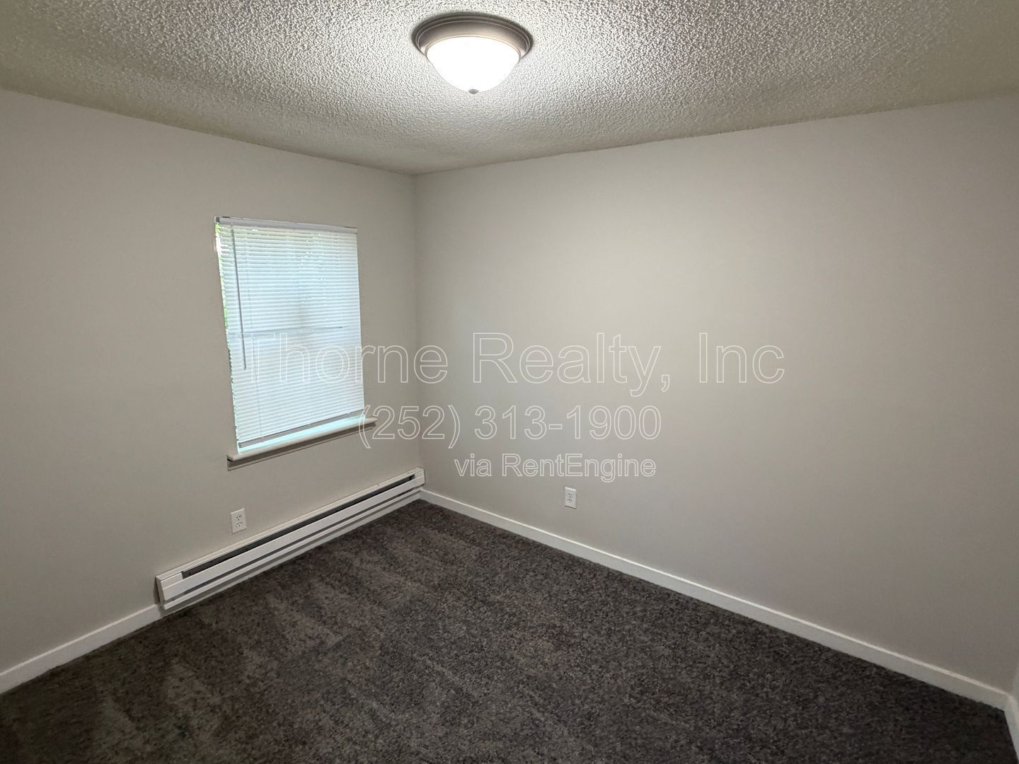 2 Bedroom House in East Tarboro - Renovation Complete! property image