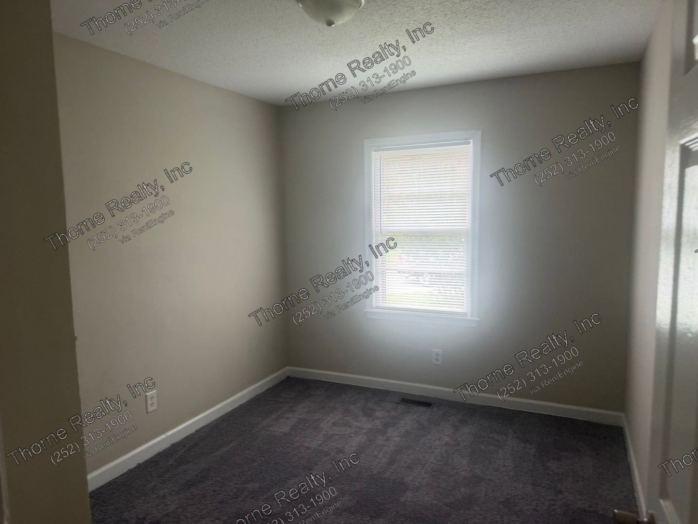 Single Family Home with New Carpet (2026) property image